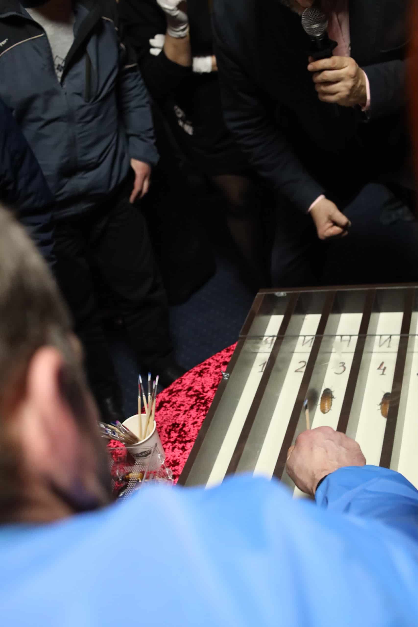 "Тараканьи бега"