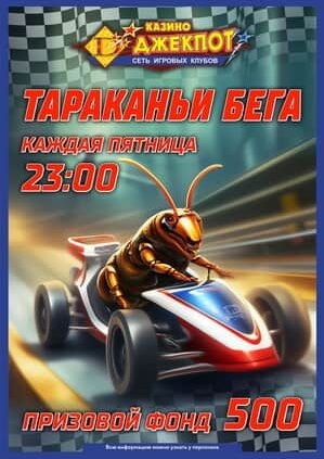 Розыгрыш «ТАРАКАНЬИ БЕГА» в Могилёве
